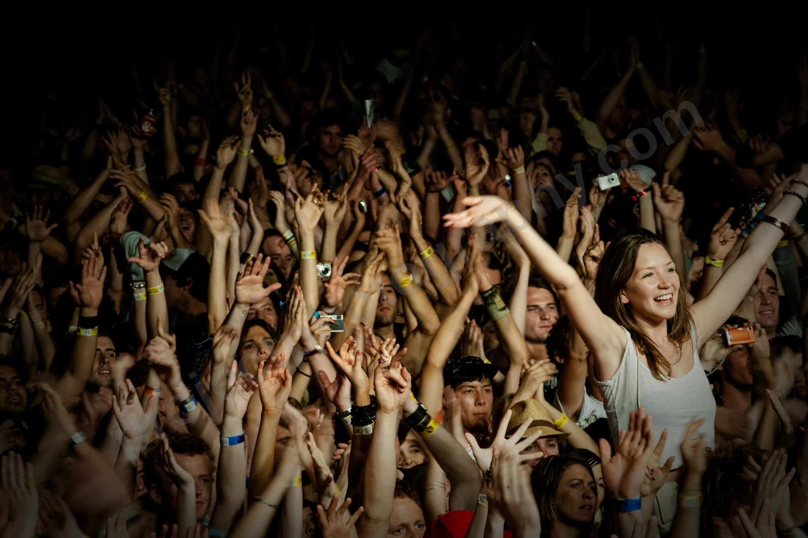 1_movement_crowd_wyliepic_2010_075_2.jpg