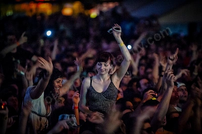 1_movement_crowd_wyliepic_2010_084_1.jpg