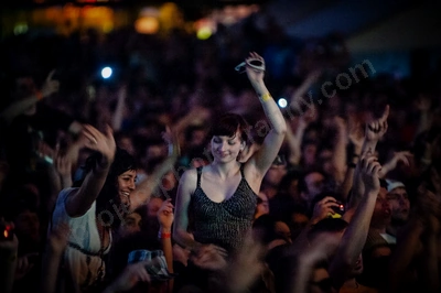 1_movement_crowd_wyliepic_2010_084_2.jpg