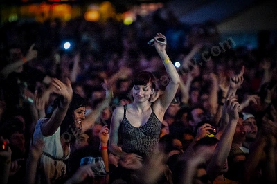 1_movement_crowd_wyliepic_2010_084.jpg