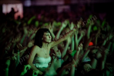 1_movement_crowd_wyliepic_2010_095_1.jpg