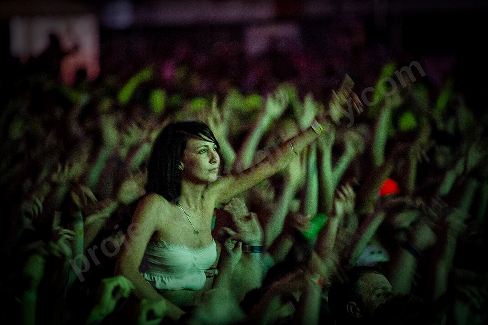 1_movement_crowd_wyliepic_2010_095.jpg