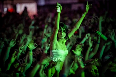 1_movement_crowd_wyliepic_2010_097.jpg