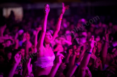 1_movement_crowd_wyliepic_2010_102_1.jpg