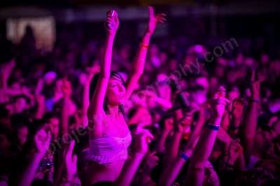 1_movement_crowd_wyliepic_2010_102.jpg