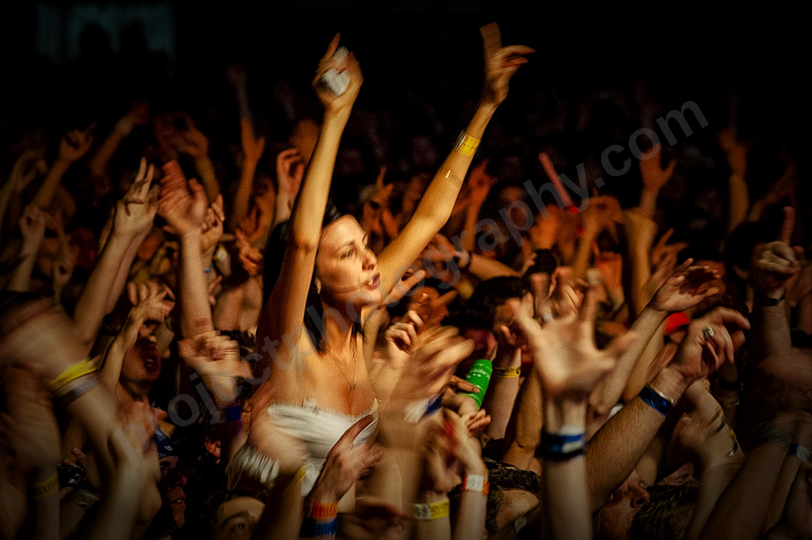 1_movement_crowd_wyliepic_2010_103.jpg