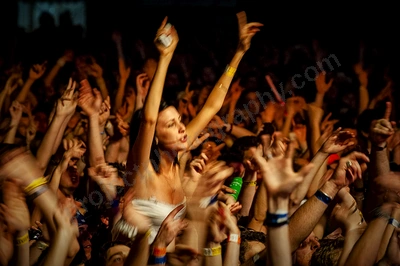 1_movement_crowd_wyliepic_2010_103.jpg