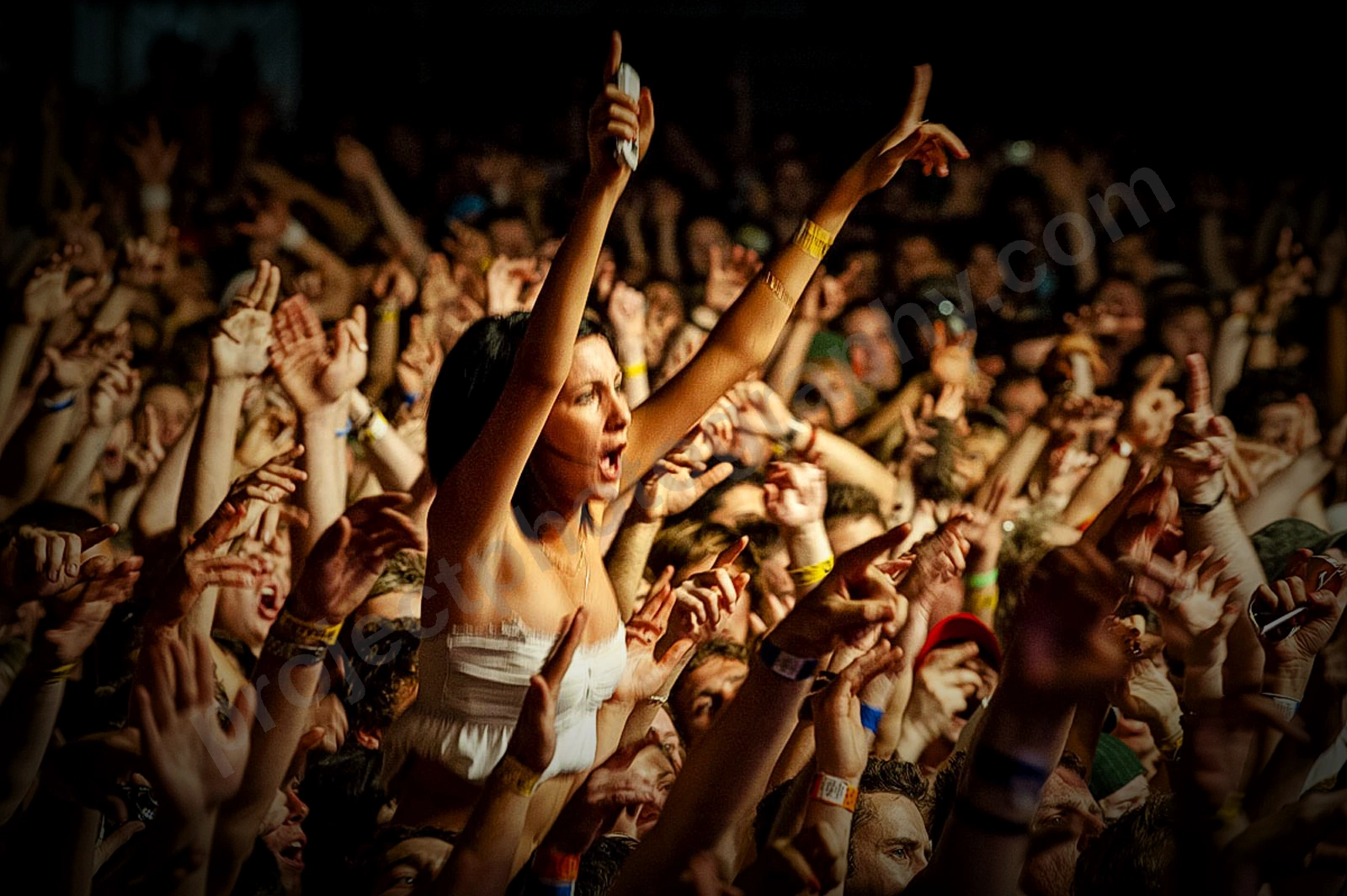 1_movement_crowd_wyliepic_2010_104_1.jpg