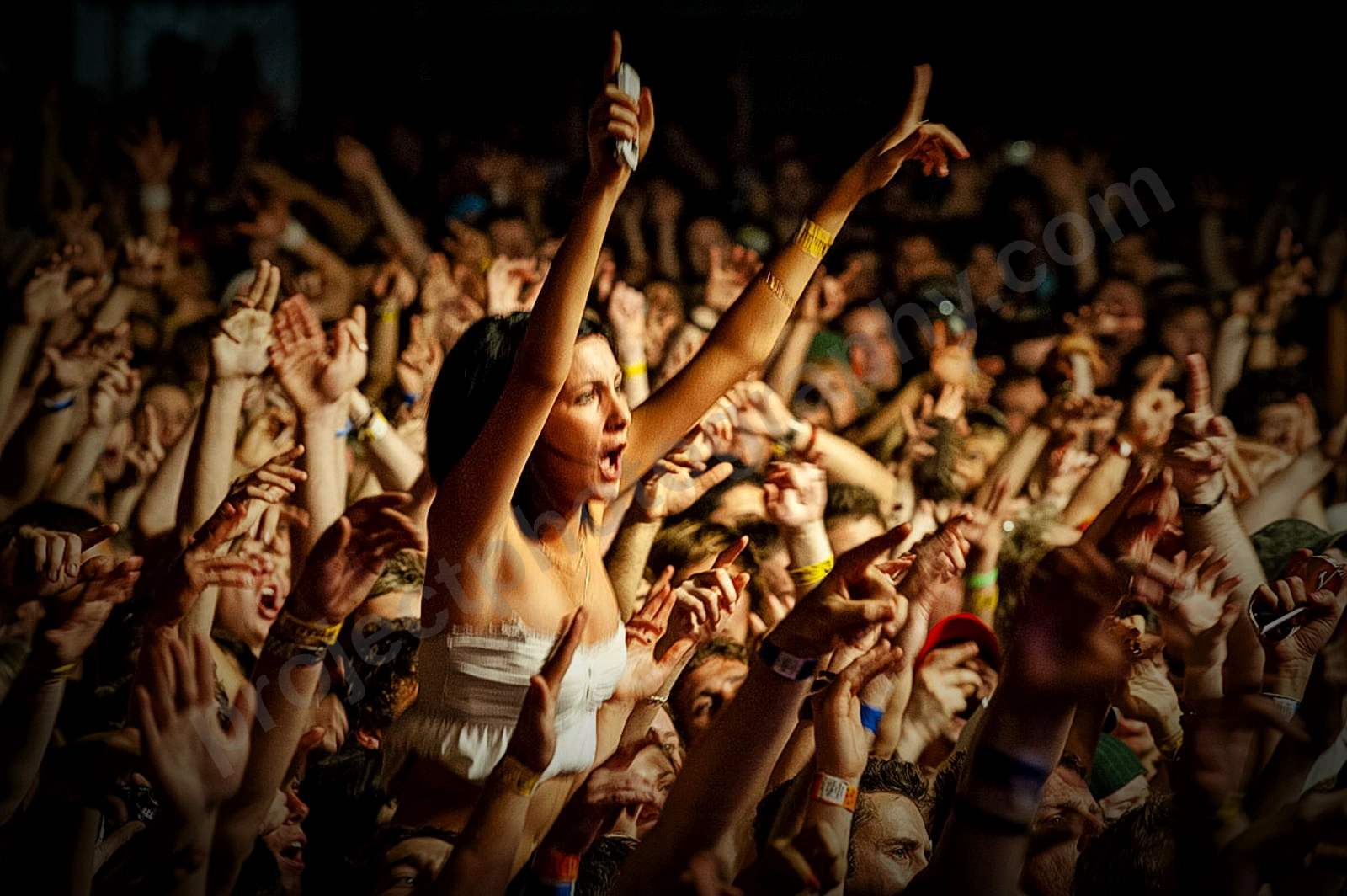 1_movement_crowd_wyliepic_2010_104.jpg