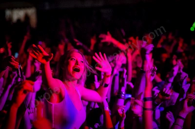 1_movement_crowd_wyliepic_2010_112_1.jpg
