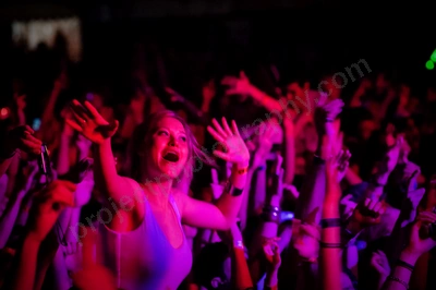 1_movement_crowd_wyliepic_2010_112_2.jpg