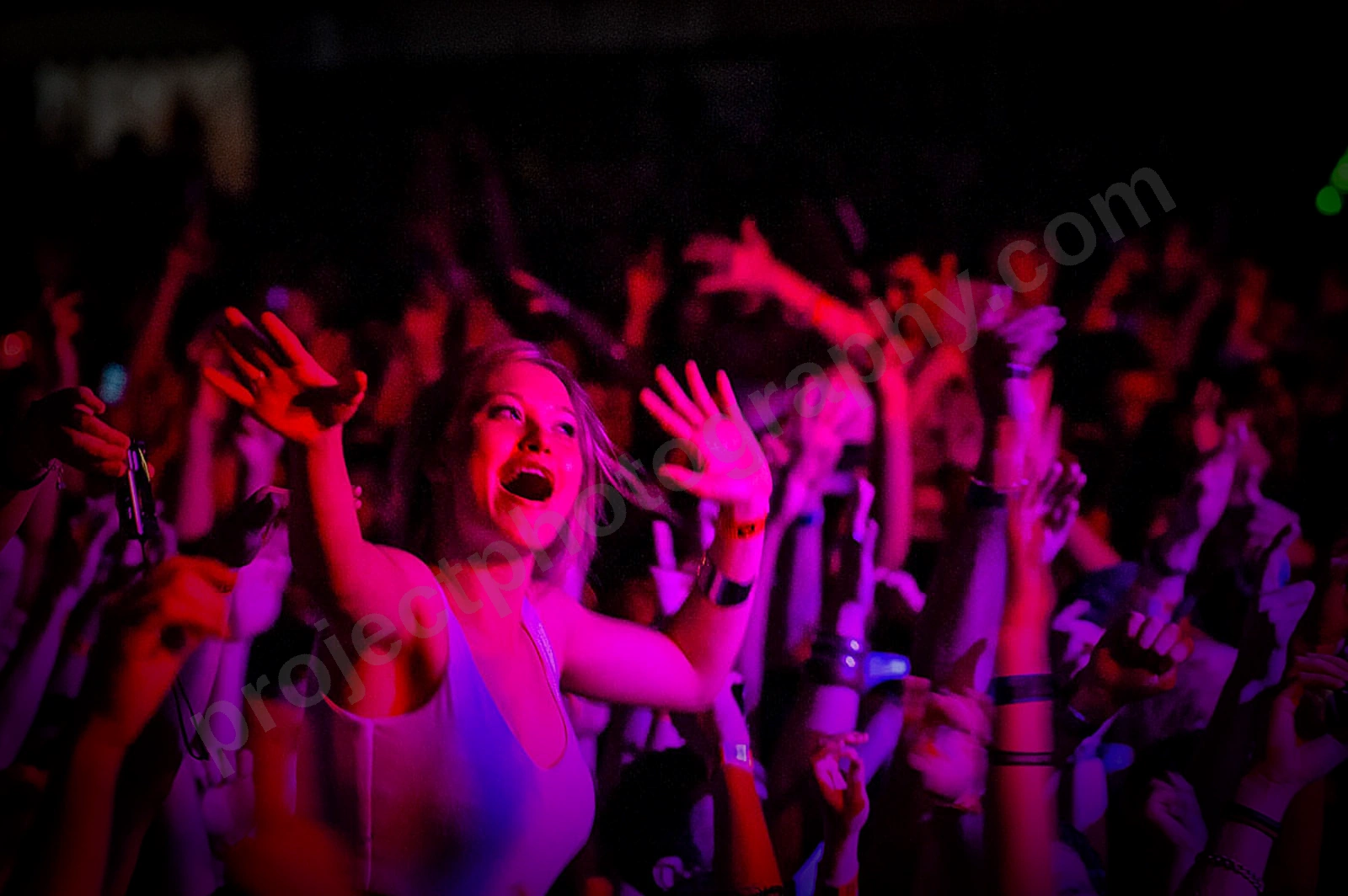 1_movement_crowd_wyliepic_2010_112.jpg