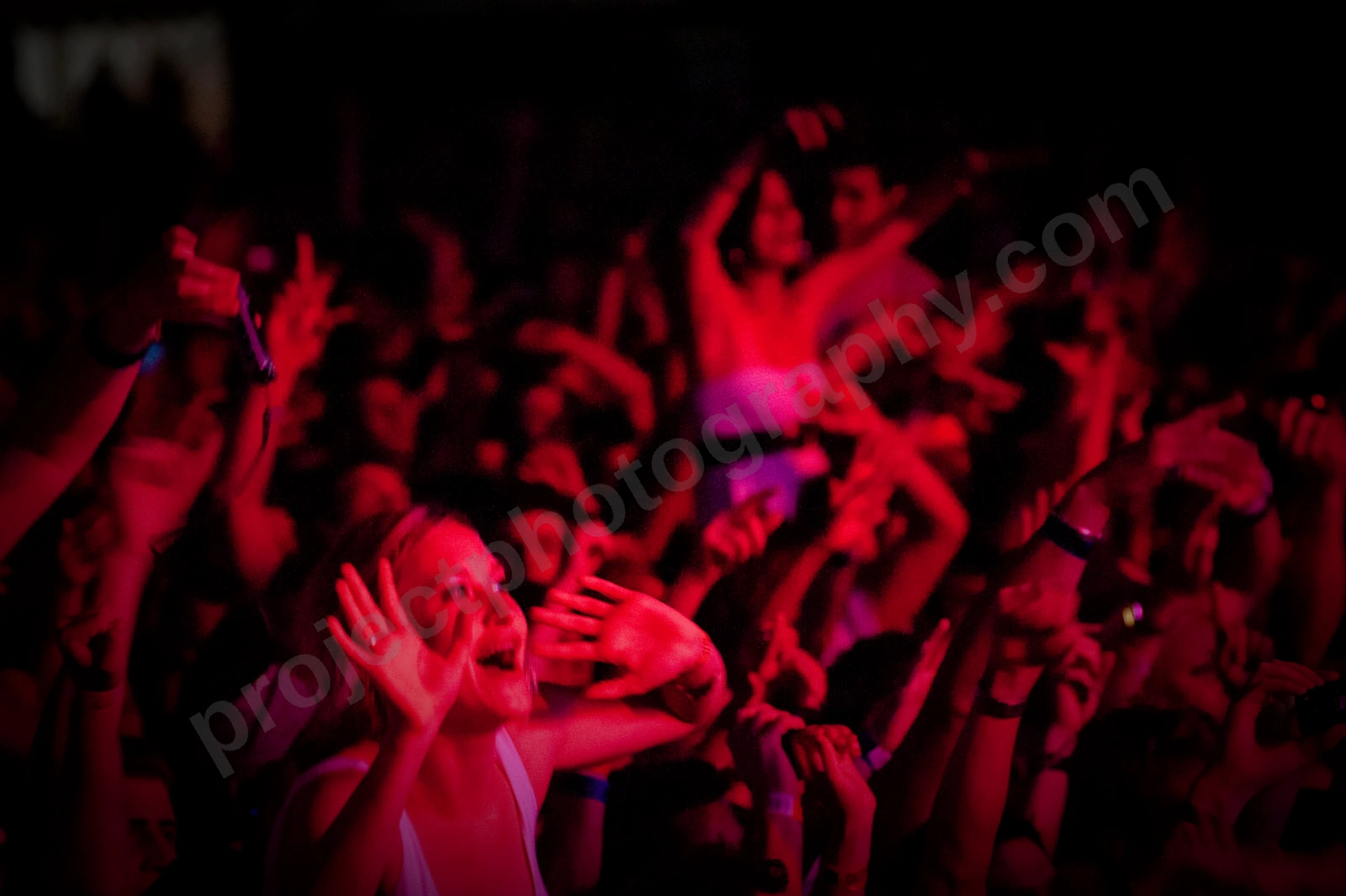 1_movement_crowd_wyliepic_2010_116_1.jpg