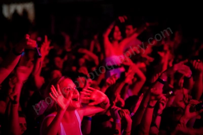 1_movement_crowd_wyliepic_2010_116_1.jpg