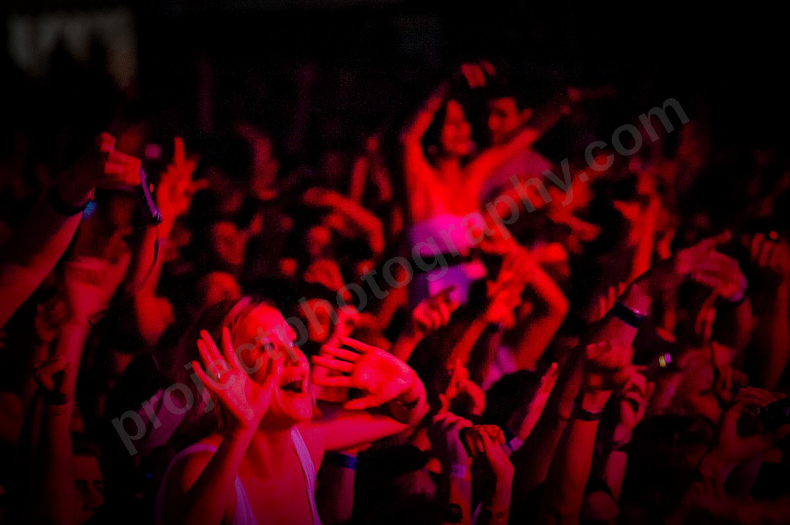 1_movement_crowd_wyliepic_2010_116.jpg
