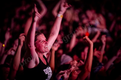 1_movement_crowd_wyliepic_2010_118.jpg