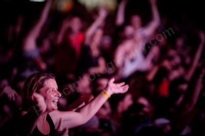1_movement_crowd_wyliepic_2010_119_1.jpg