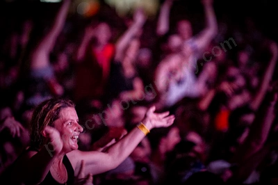 1_movement_crowd_wyliepic_2010_119.jpg