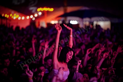 1_movement_crowd_wyliepic_2010_123_1.jpg