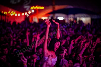 1_movement_crowd_wyliepic_2010_123.jpg