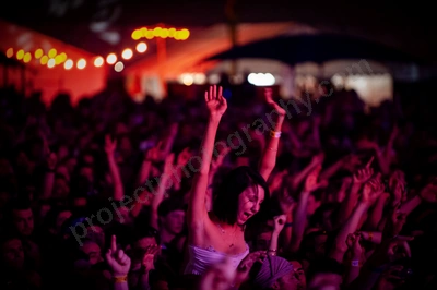1_movement_crowd_wyliepic_2010_125_1.jpg