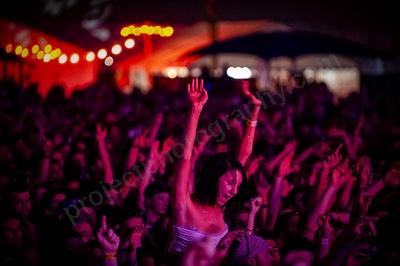 1_movement_crowd_wyliepic_2010_125.jpg