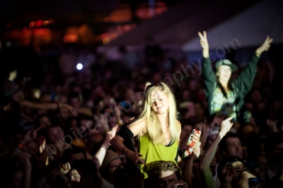 1_movement_crowd_wyliepic_2010_126_1.jpg