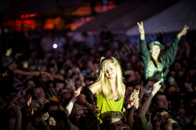 1_movement_crowd_wyliepic_2010_126.jpg