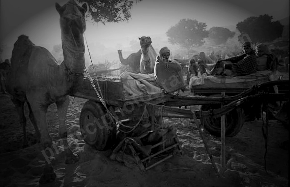 1_pushka_india_120_wyliepic_00.jpg