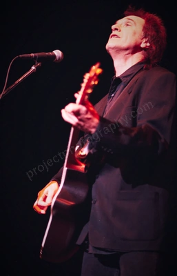 Ray Davies