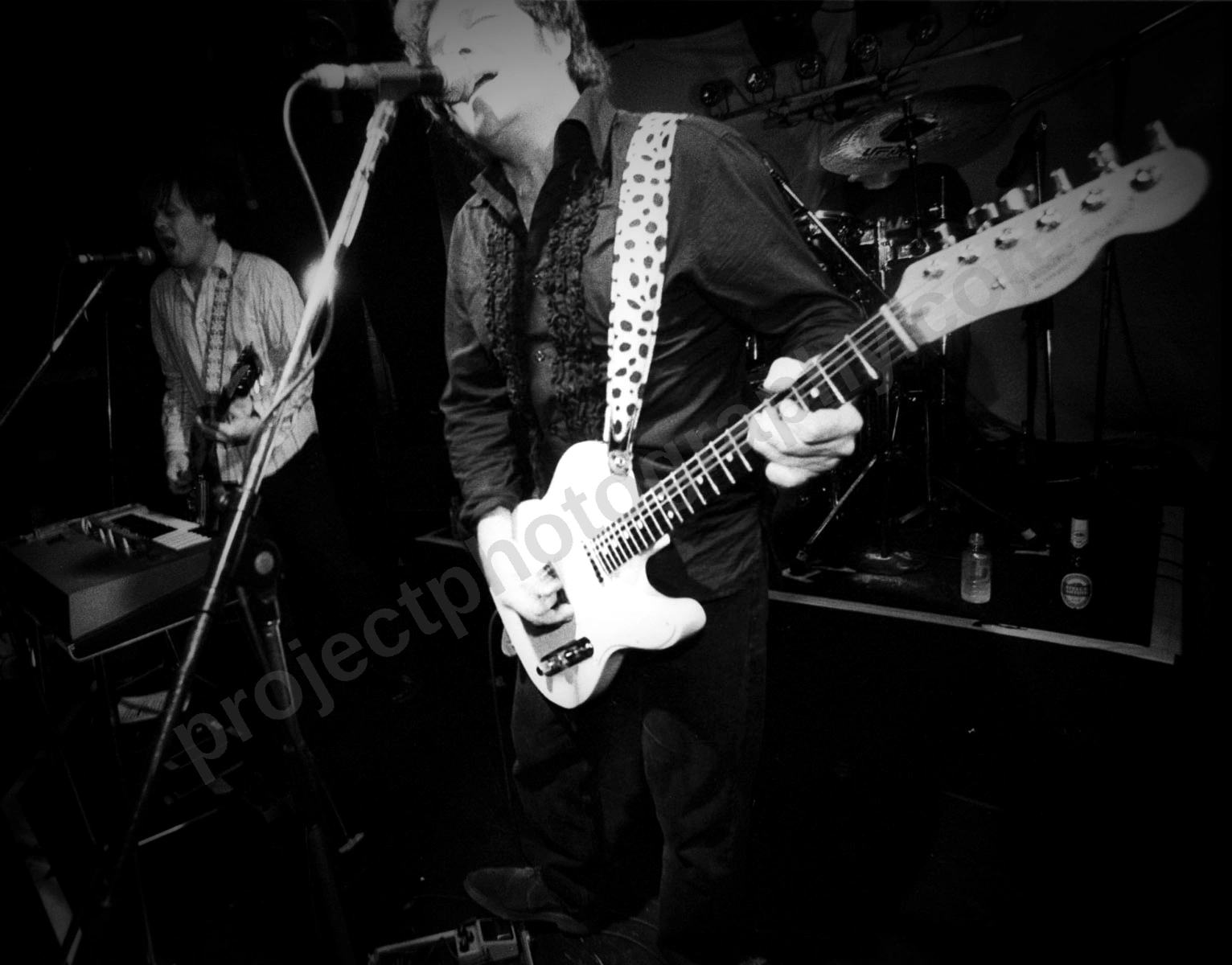 1_stems_2306_wyliepic_00.jpg