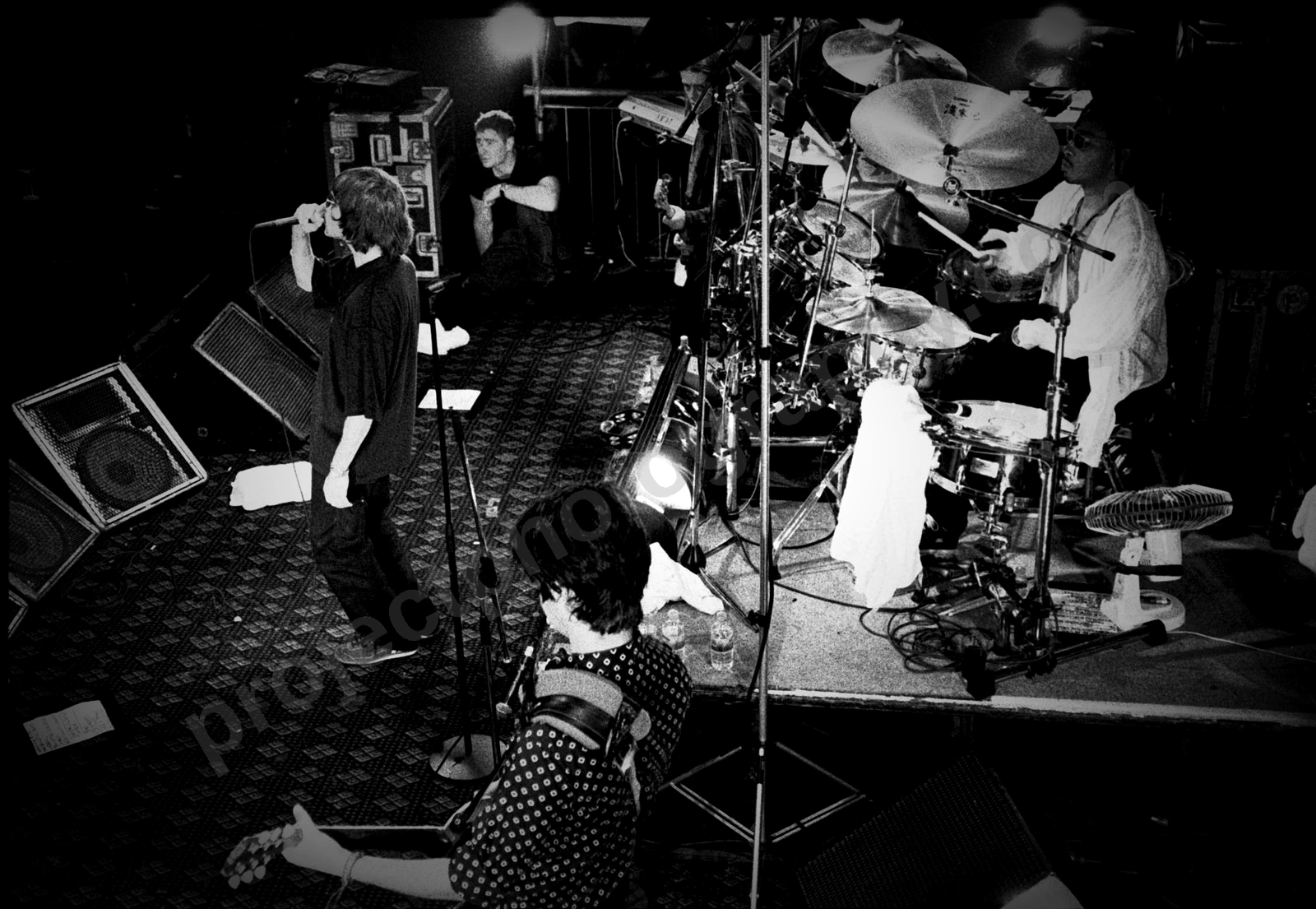 1_stone_roses_1295_wyliepic_00.jpg
