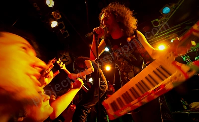 alestorm_crowd_amp_wyliepic_5_11_11.png
