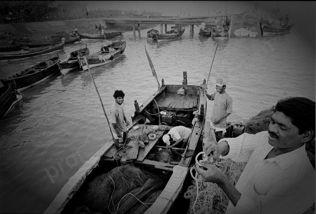 alibag_102_wyliepic_00.jpg