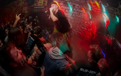 alpha_wolf_crowd_amp_wyliepic_20_7_19_02.png