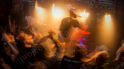 alpha_wolf_crowd_amp_wyliepic_20_7_19_08.png