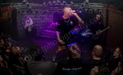 alpha_wolf_crowd_amp_wyliepic_20_7_19_09.png