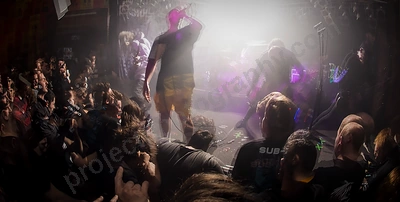 alpha_wolf_crowd_amp_wyliepic_20_7_19_24.png