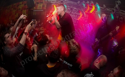 alpha_wolf_crowd_amp_wyliepic_20_7_19_25.png