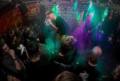 alpha_wolf_crowd_amp_wyliepic_20_7_19_28.png