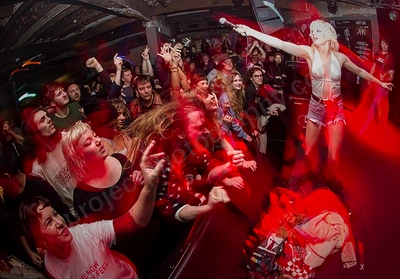 amyl_and_the_sniffers_crowd_rosemount_wyliepic_7_18_10.png