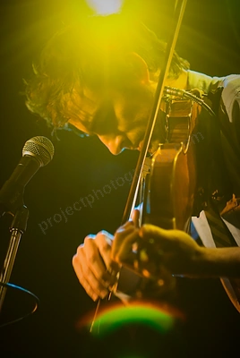 andrew_bird_rosemount_wyliepic_11_1_08_01.png