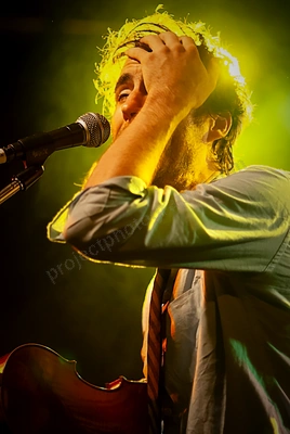 andrew_bird_rosemount_wyliepic_11_1_08_03.png