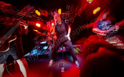 animistic_amps_wf_wyliepic_1_12_17.png