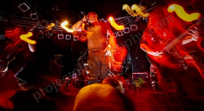 animistic_amps_wf_wyliepic_1_12_22.png