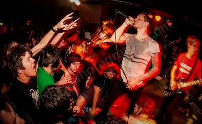 autum_to_ashes_crowd_rosemount_12_06_09.png