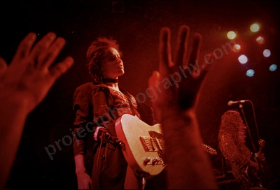 baby_animals_crowd_metro_freo_239_wyliepic_04.jpg