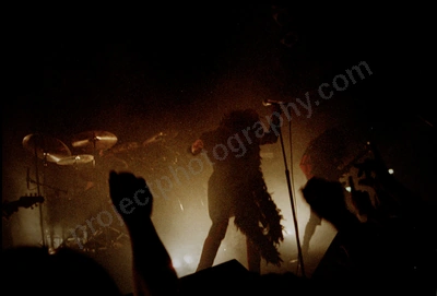 baby_animals_crowd_metro_freo_239_wyliepic_06.jpg