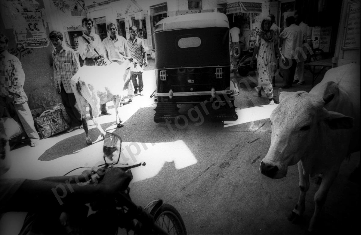 bhuj_78_wyliepic_01.jpg