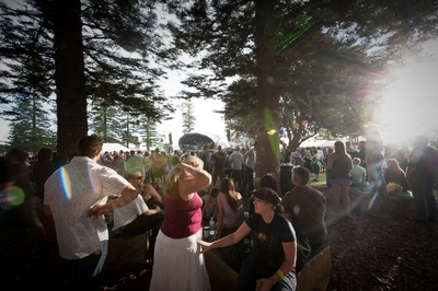 blues_roots_scenery_crowd_wyliepic_4_09_30_1.jpg